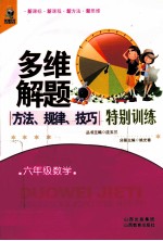 多维解题方法规律技巧特别训练 六年级数学