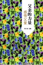 父亲的力量 感悟父爱