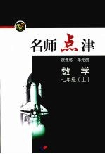新课标名师点津 七年级数学 上