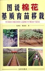 图说棉花基质育苗移栽