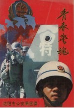 青春警魂:报告文学集