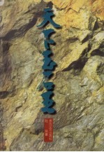 天下玉石王 纪实文学