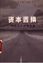 资本置换 西部大开发前奏曲
