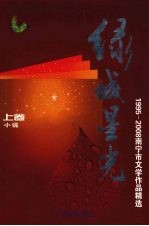 绿城星光：1995-2008年南宁市文学精品选 上 小说