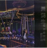 萧鸿生夜总会空间