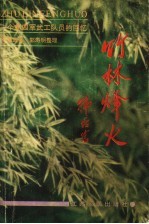 竹林烽火:一个新四军武工队员的回忆 增订本
