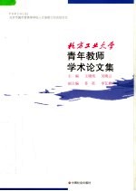 北方工业大学青年教师学术论文集