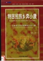 特困民族乡奔小康 云南省云县后箐彝族乡的个案