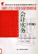 2004年会计专业技术资格考试辅导丛书 中级 会计实务 2