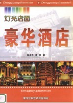 灯光店面 豪华酒店