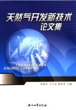 天然气开发新技术论文集