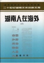 湖南人在海外 下