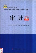 2004年注册会计师全国统一考试学习指南 审计