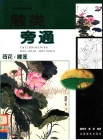 中国画技法新解:解类旁通 荷花·睡莲