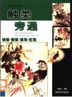 中国画技法新解：解类旁通 锦雉·银雉·雉鸡·虹雉
