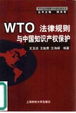 WTO法律规则与中国知识产权保护