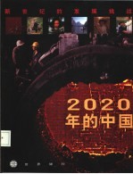 2020年的中国 新世纪的发展挑战