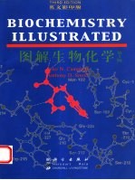 图解生物化学 英文版