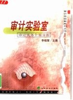 审计实验室 审计实务个案分析