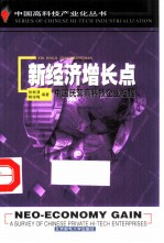 新经济增长点 中国民营高科技企业扫描