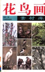 花鸟画素材库