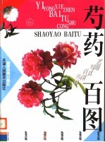 芍药百图