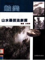触类旁通 中国画技法新解 山水画技法新探