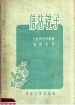 倍拈锭子