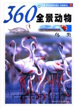 360°全景动物 鸟类