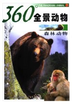 360°全景动物 森林动物