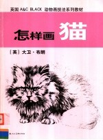 怎样画猫