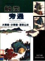 中国画技法新解:触类旁通 大青绿·小青绿·泼彩山水