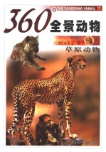 360°全景动物 草原动物
