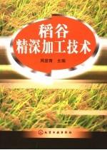 稻谷精深加工技术