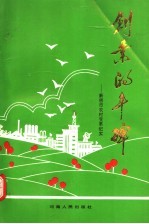 创业的丰碑 新密市农村变革纪实