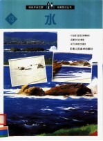 西班牙派拉蒙绘画技法丛书 13 水