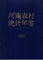 河南农村统计年鉴 1991