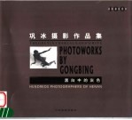 河南摄影百家 巩伟摄影作品集 黑白中的灰色