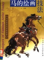 马的绘画技法