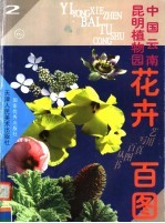 中国云南昆明植物园花卉百图 2