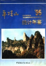 平顶山统计年鉴 1995