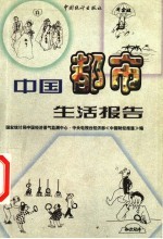 中国都市生活报告