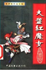 大盗·红魔女 上