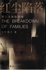 红尘陷落 第三次离婚浪潮
