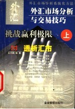 外汇市场分析与交易技巧 上 透析汇市
