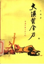大漠紫金刀 中