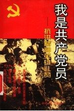 我是共产党员 抗洪精神英雄礼赞