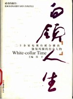 白领人生 二十余家电视台联合播出独领风骚的出众人物