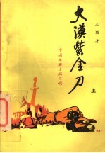 大漠紫金刀 上