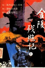 金陵残照记 上